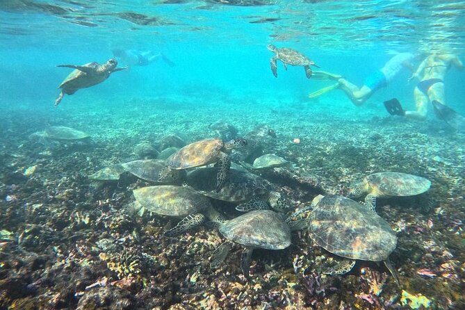 Snorkeling Experience at Ad Daymaniyat Islands in Muscat - How the $99 price compares with the experience