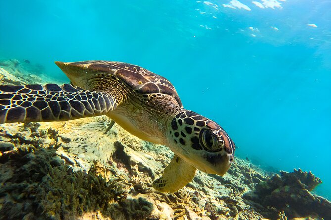 Snorkeling Experience at Ad Daymaniyat Islands in Muscat - Leaving Seeb port for the islands