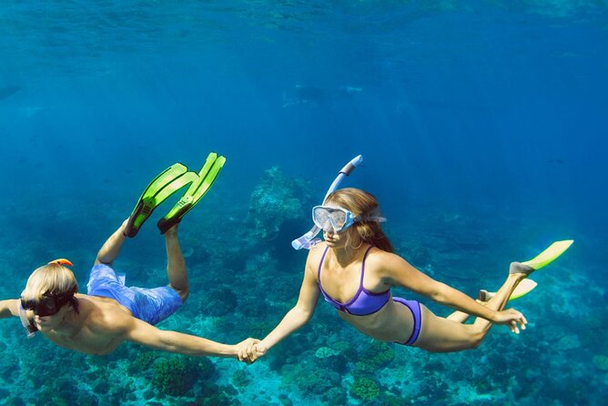 Snorkeling trips to Daymaniat Islands Sharing Trip - Why Daymaniyat Islands are worth your morning