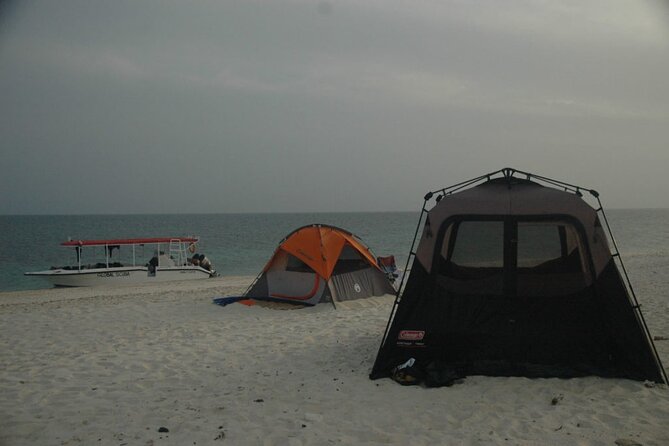 Snorkeling trips to Daymaniat Islands Sharing Trip - Coral, turtles, and the value of the reserve