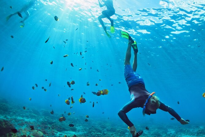 Snorkeling trips to Daymaniat Islands Sharing Trip - The rough-water question