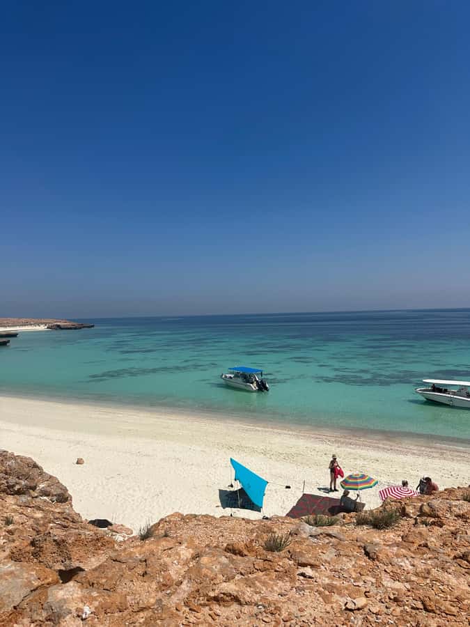 Snorkeling with turtles at Ad Daymaniyat Islands - Why the turtles make this Oman trip special