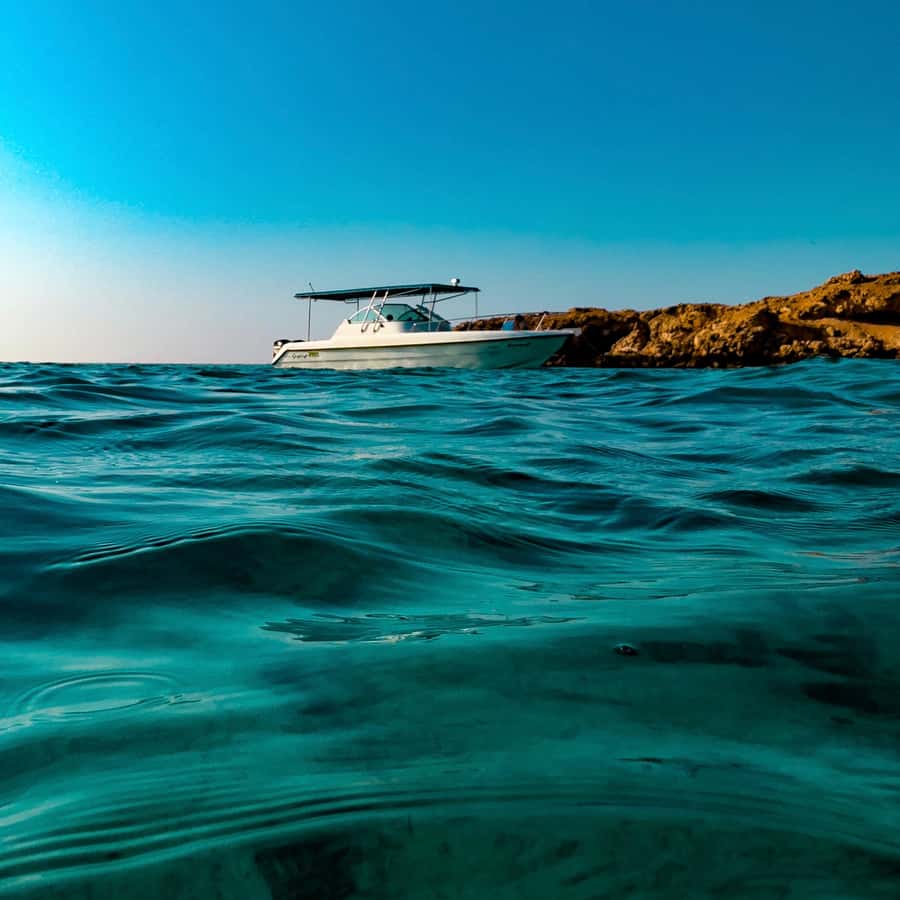 Snorkeling with turtles at Ad Daymaniyat Islands - From Seeb Port to the island waters