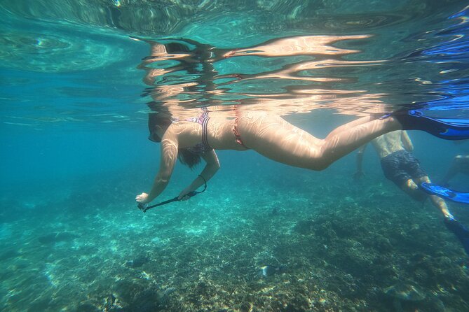 Snorkelling tours to Daymaniyat island - Key points at a glance