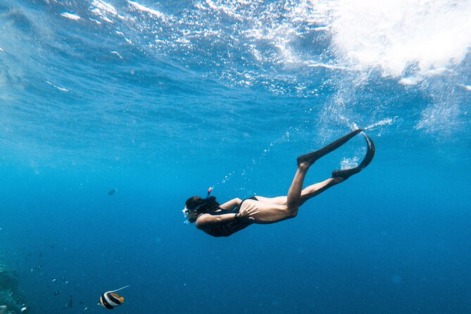 Snorkelling tours to Daymaniyat island - Family suitability and swimming ability