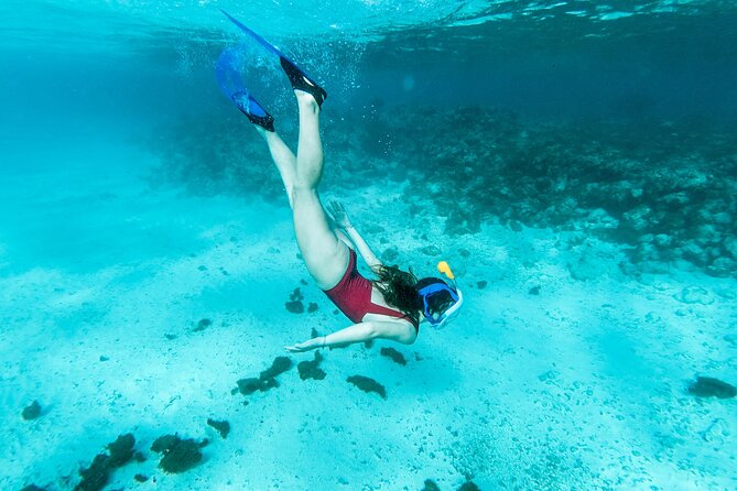 Snorkelling tours to Daymaniyat island - Weather, wind, and comfort on the boat
