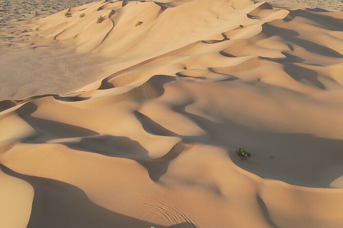 Sunset desert safari Salalah with Dinner in a Bedouins camp - The Empty Quarter and the final light of day