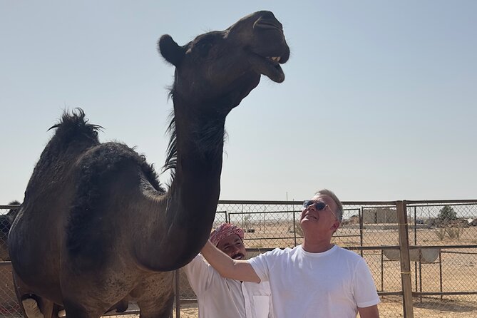 Sunset desert safari Salalah with Dinner in a Bedouins camp - Who should book this Salalah safari?