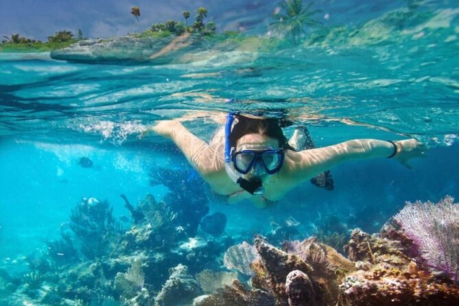 The Jewel of Muscat Sea, Daymaniyat Islands - Why the Daymaniyat Islands are worth the boat ride
