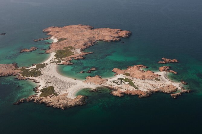 The Jewel of Muscat Sea, Daymaniyat Islands - Dolphins, turtles, whales, and the fishing option