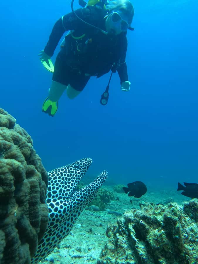 Try scuba Diving Tours To Daymaniyat Islands. - From Seeb Marina to the Daymaniyat Islands