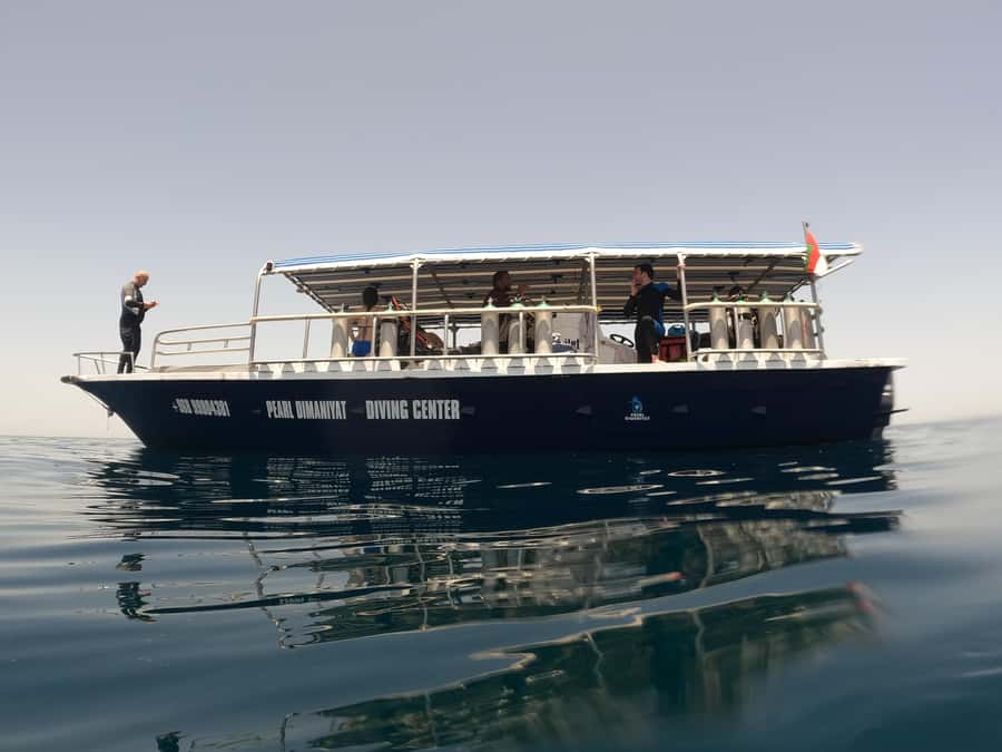 Try scuba Diving Tours To Daymaniyat Islands. - Fish, coral, turtles, and the limits of wild encounters