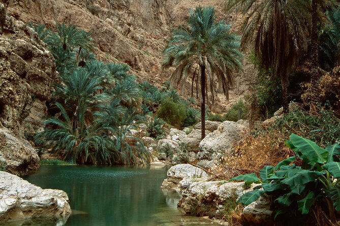 Wadi Shab and Bimmah Sinkhole Group Full Day Tour - Guides can shape the whole day