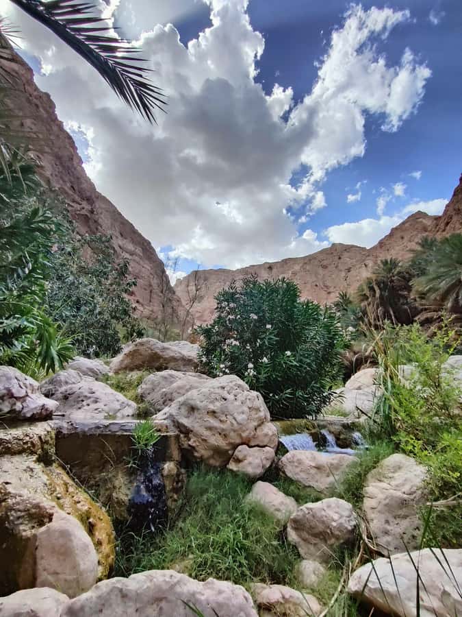 Wadi Shab &Bimmah Sinkhole &Heart shaped Cave &Pebble Beach - Walking past Omani farms