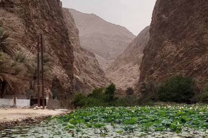 Wadi Shab Expedition - The 45-minute walk into the valley
