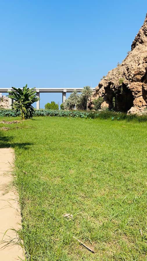 Wadi Shab Parking Meet the Local Guide for Self drivers - The five-minute boat crossing