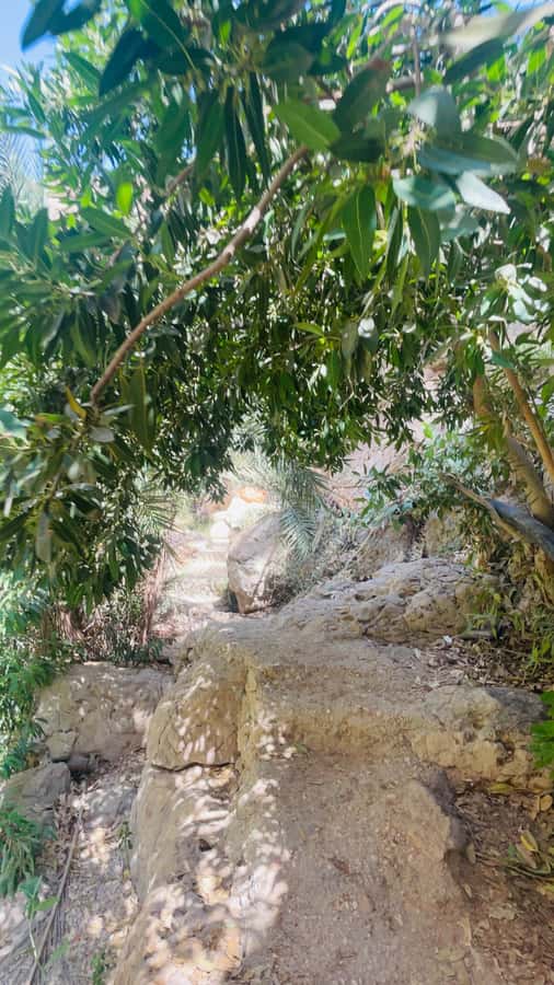 Wadi Shab Parking Meet the Local Guide for Self drivers - The first pools and the slippery bits