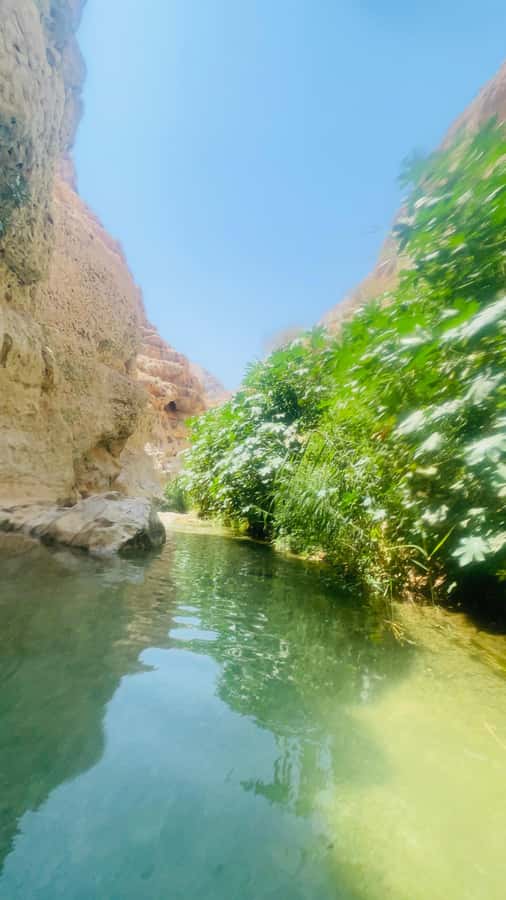 Wadi Shab Parking Meet the Local Guide for Self drivers - What the $30 price really covers
