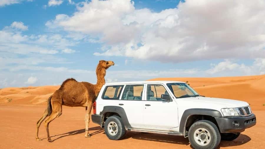 Wahiba Sand and Wadi Bani Khalid Guided Group Tour - From Muscat to Oman’s eastern country