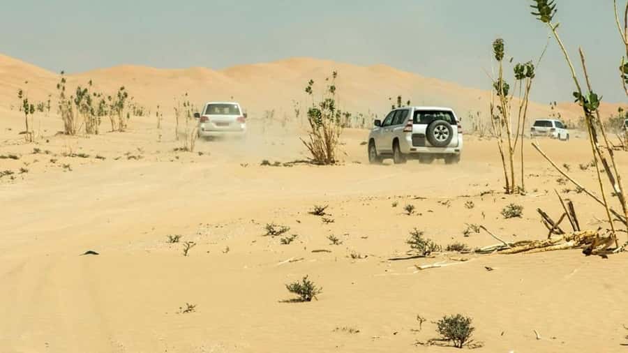 Wahiba Sand and Wadi Bani Khalid Guided Group Tour - Guides can shape the whole day