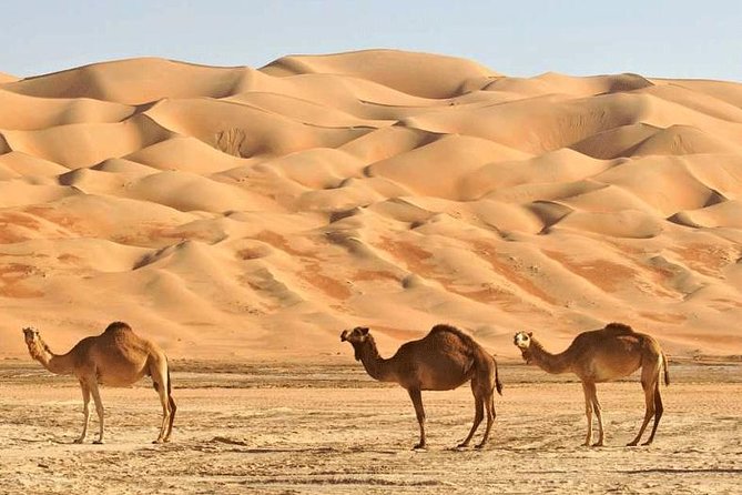 Wahiba Sands and Desert Safari from Muscat - What the private 4WD setup means for you