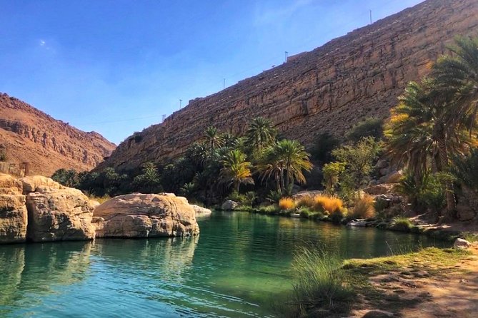 Wahiba Sands and Desert Safari from Muscat - Who gets the best value from the $135 price