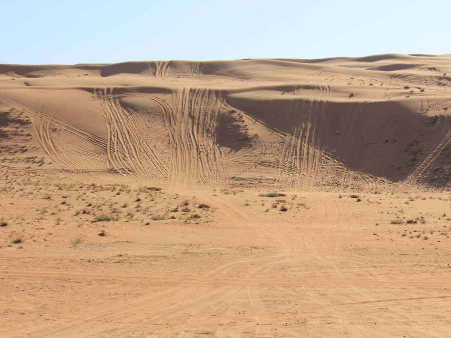 Wahiba Sands and Wadi Bani Khalid Full-Day Tour from Muscat - A Closer Look at the Price