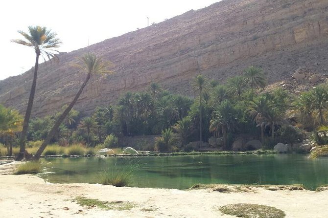 Wahiba Sands Desert Safari 4X4 - Lunch choices that keep the day flexible