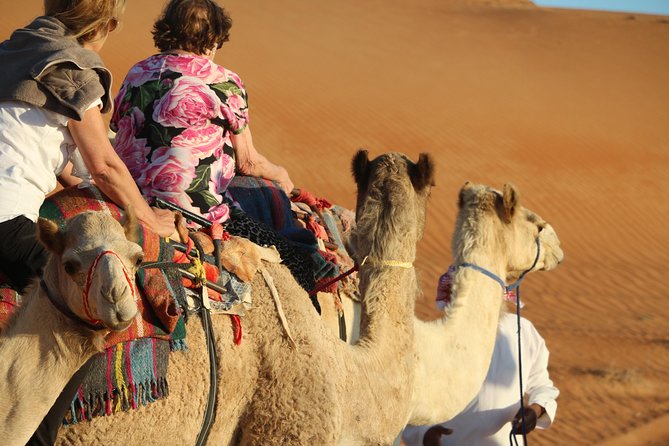 Wahiba Sands Safari with Wadi swimming and Camelride - Why combine Wahiba Sands with Wadi Bani Khalid?