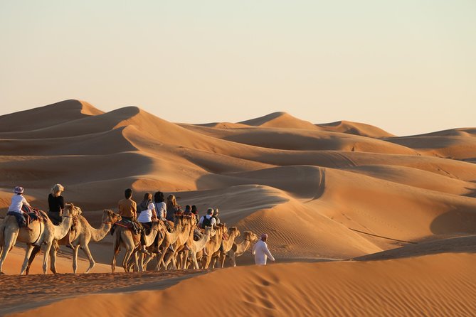 Wahiba Sands Safari with Wadi swimming and Camelride - Crossing the changing colors of Wahiba Sands