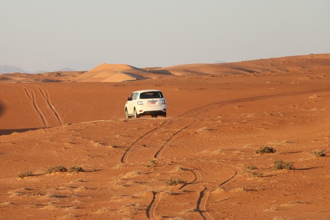 Wahiba Sands Safari with Wadi swimming and Camelride - Who will enjoy this day most?