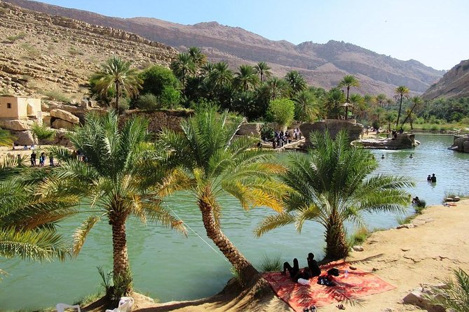 Wahiba Sands Safari with Wadi swimming and Camelride - Starting from Muscat at 7:00 am