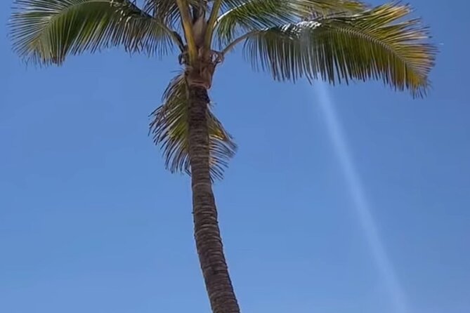 West Salalah Beaches and Blowholes - What the guide and vehicle add