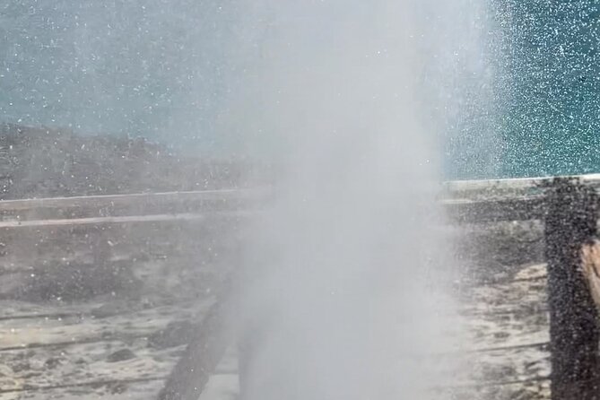 West Salalah Beaches and Blowholes - Who will get the most from this outing?