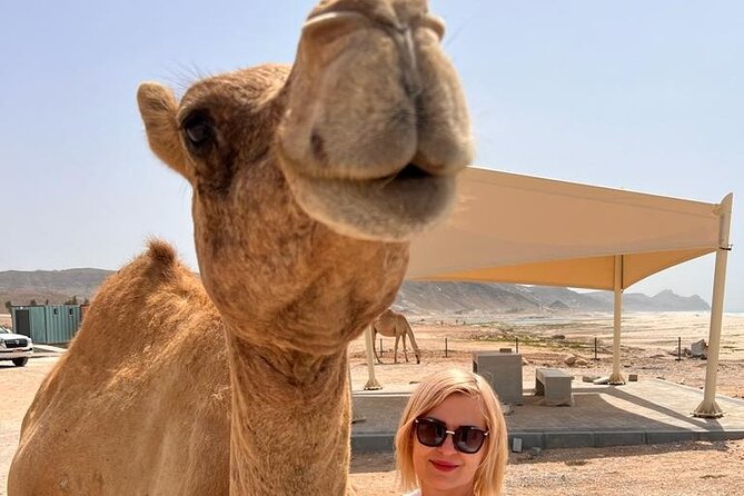 West Salalah Tour by VisitSalalah - Why West Salalah works as a half-day outing