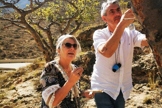West Salalah Tour by VisitSalalah - Vehicle, group size, and what is included