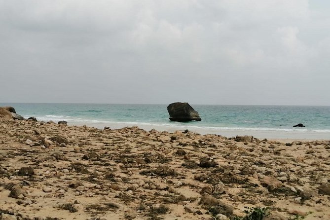 Where Sea Meets Rock: A Scenic Journey to West Salalah’s Shores - Marneef Cave and Blowholes: the coast at full volume